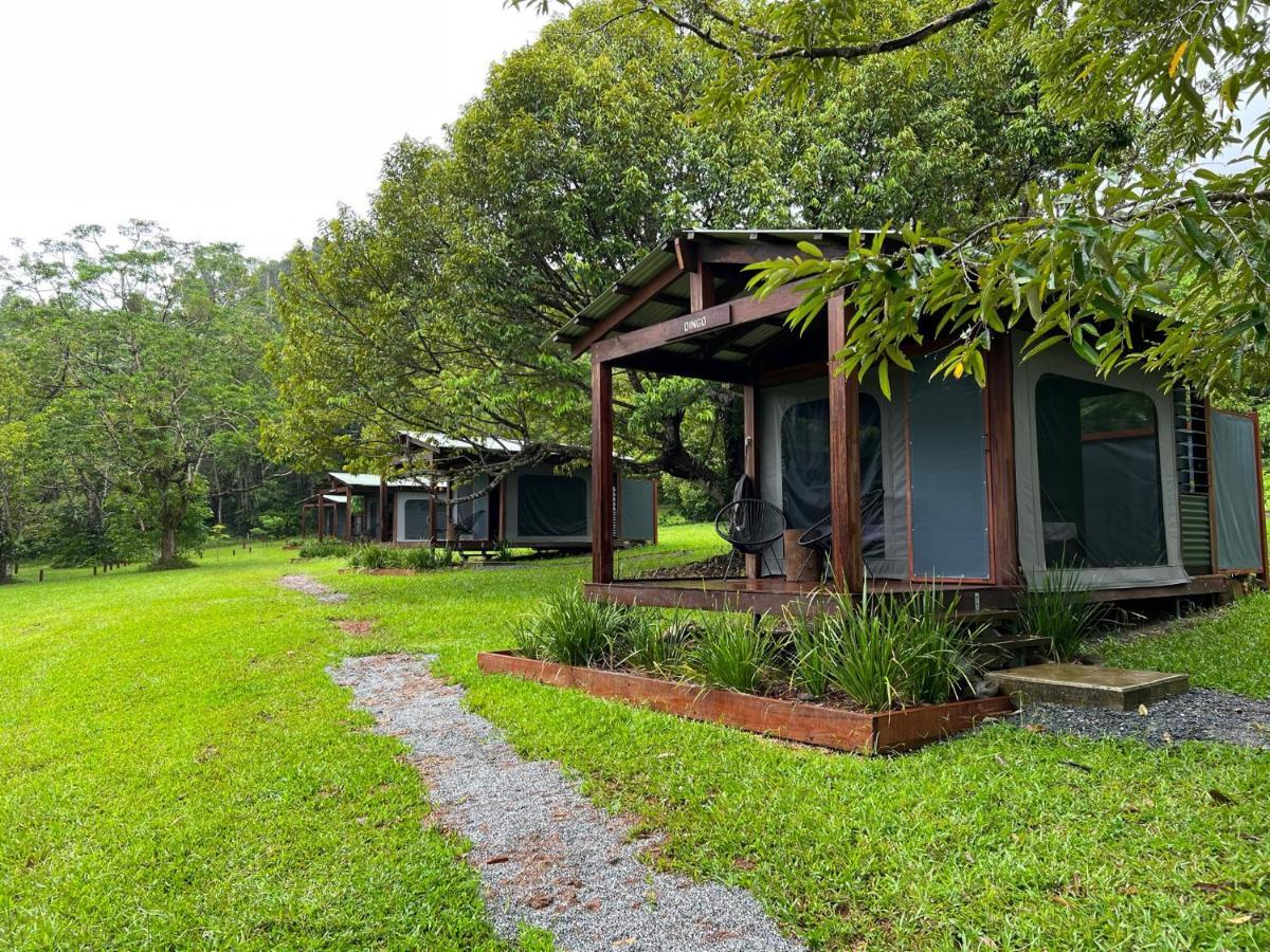 Noah Creek Eco Huts Villa Cape Tribulation Exterior photo